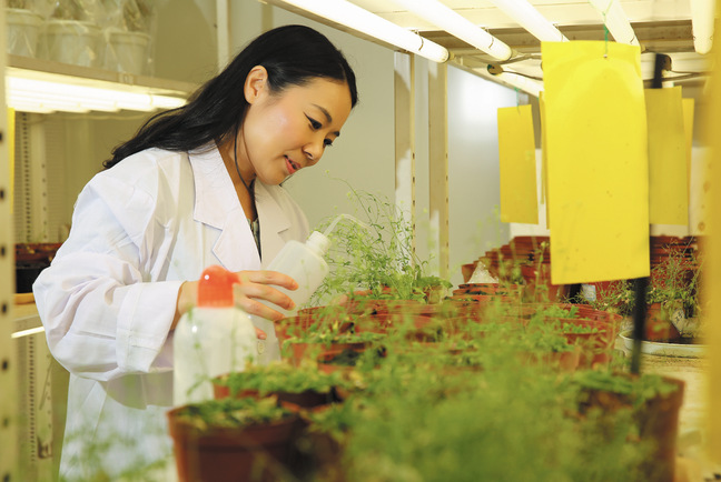 廖红：发掘根对土壤的情谊