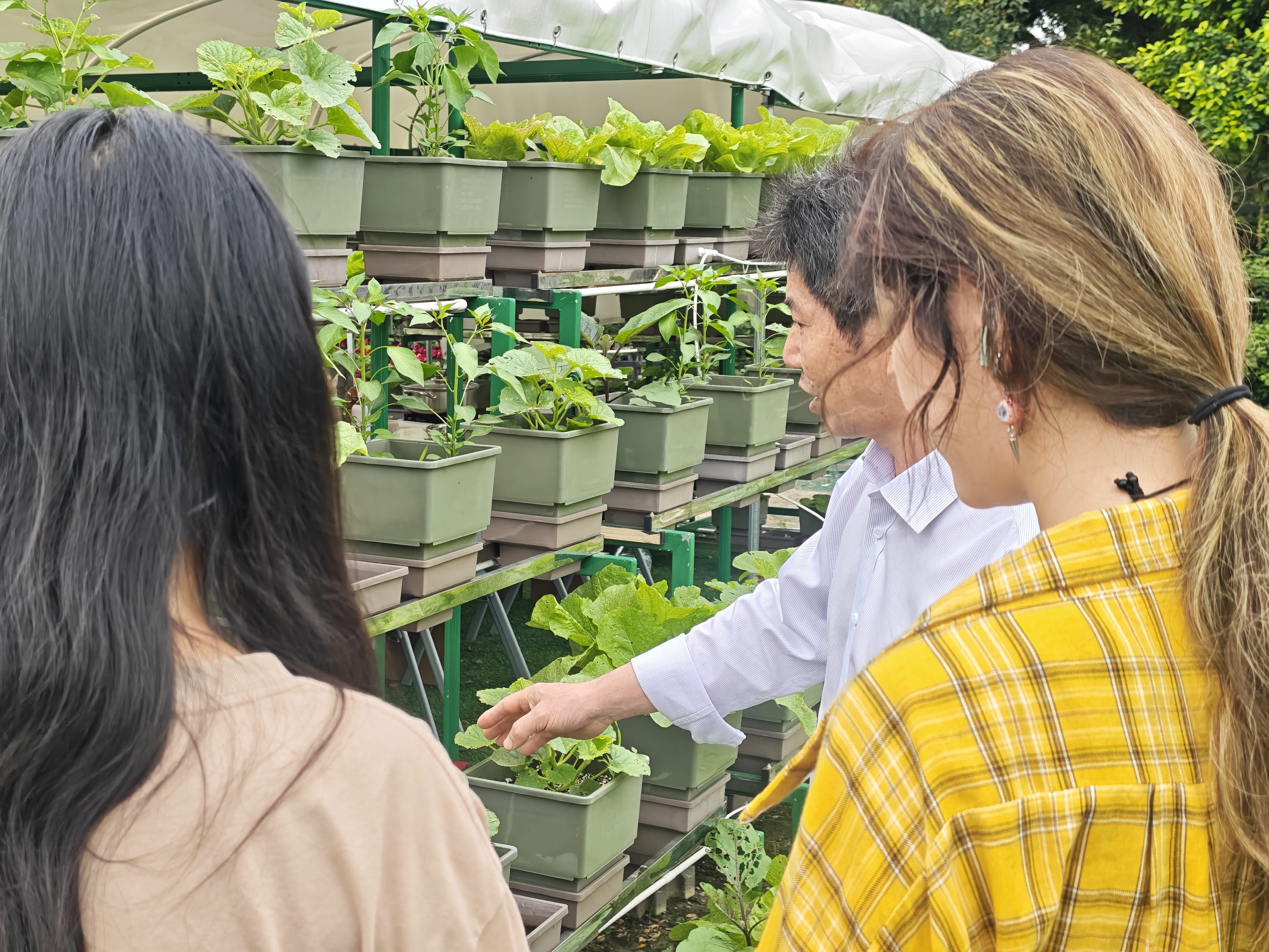 5bba2610b083ca8182a0d44e2f68cf4f.jpg 5bba2610b083ca8182a0d44e2f68cf4f.jpg